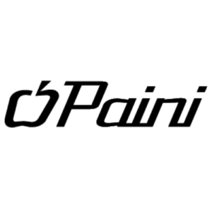 Paini